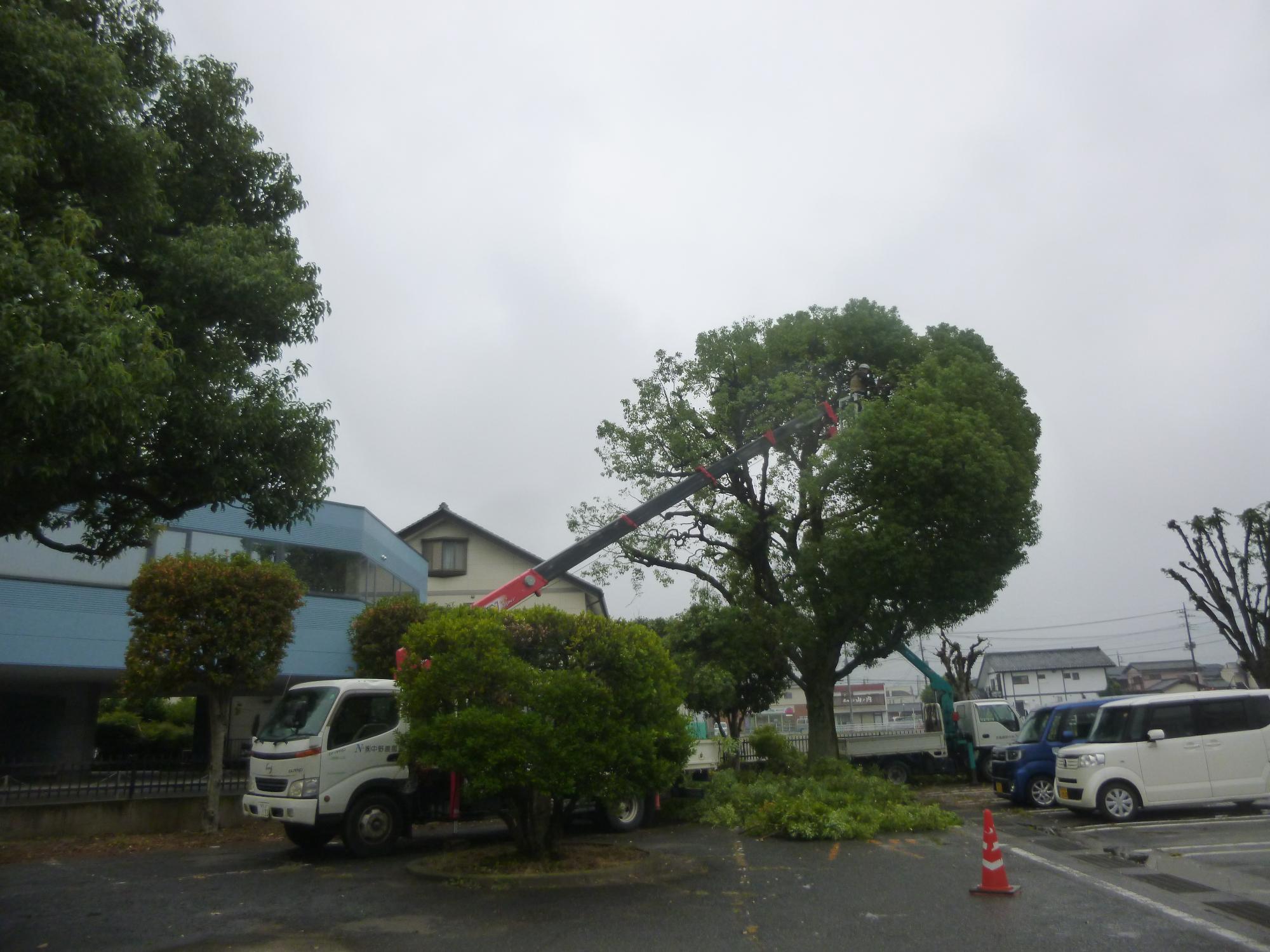 中庭剪定中の写真