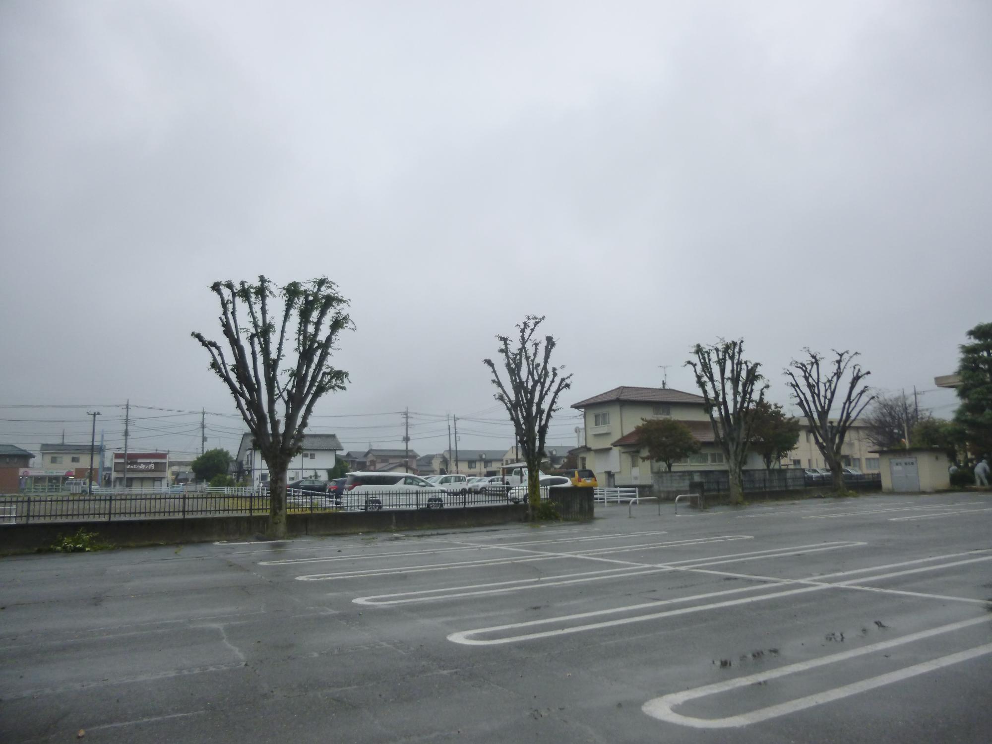 中庭剪定後の写真