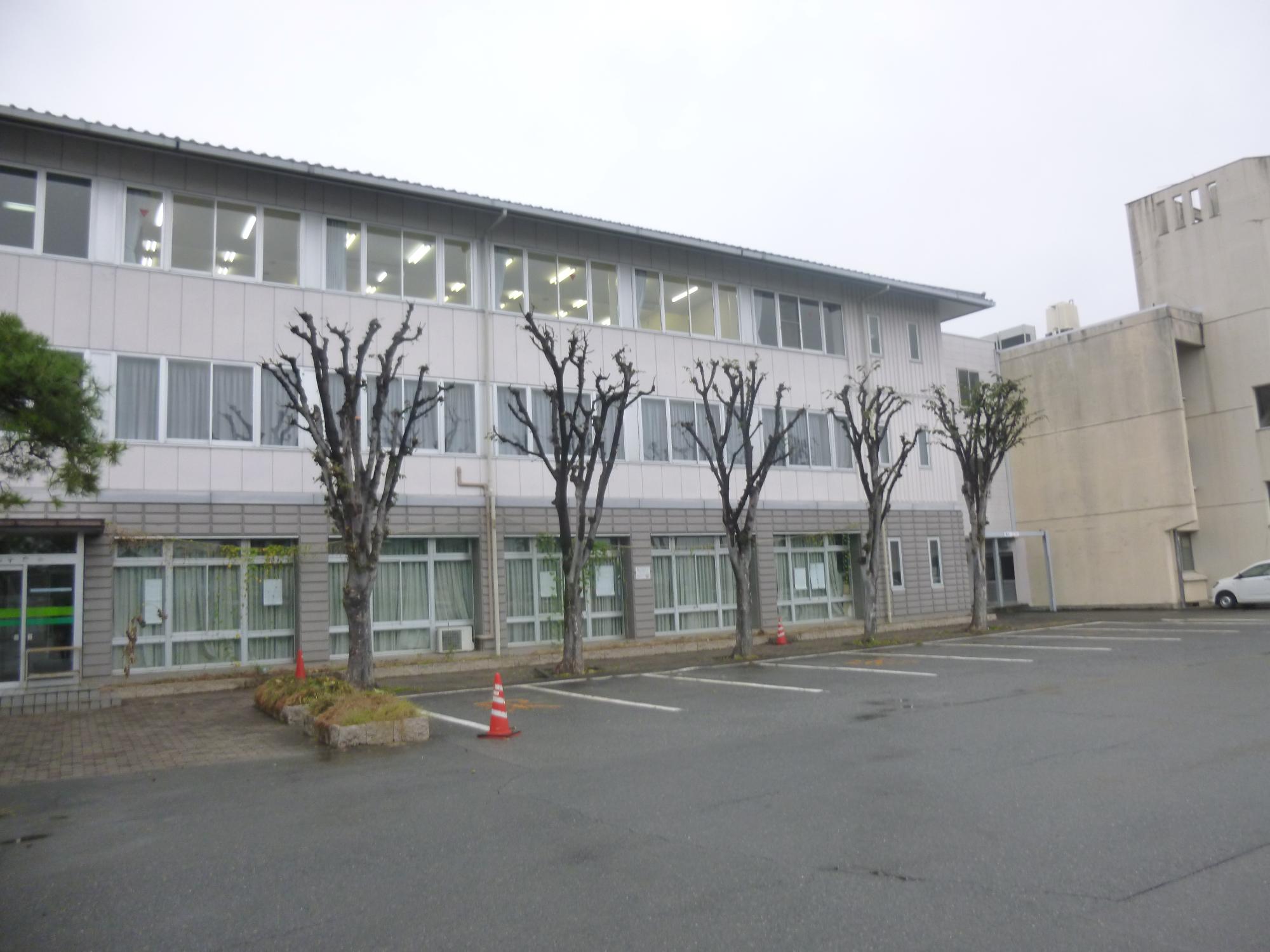 中庭剪定後の写真